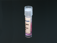 Vial photo