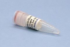 Vial photo