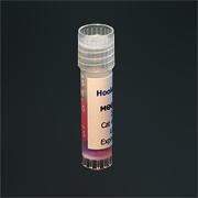 Vial photo