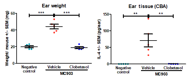 Ear weight and ear IL-4 at termination