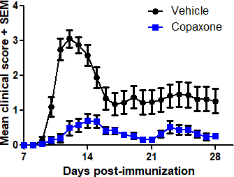 PLP139-155 EAE Teva Copaxone typical result