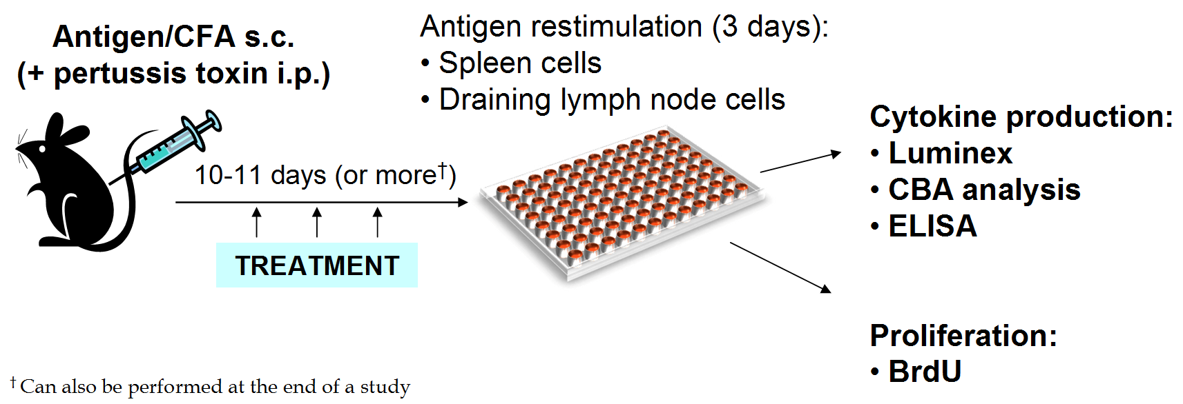 Ex Vivo T Cell Function Analysis